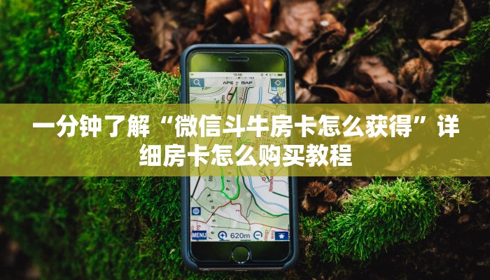 一分钟了解“微信斗牛房卡怎么获得”详细房卡怎么购买教程