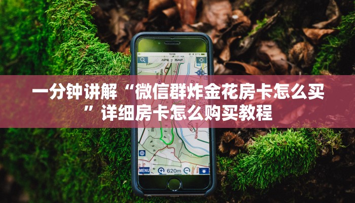 一分钟了解“乐乐房卡在哪里充值”房卡购买教程方法