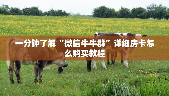 一分钟了解“微信牛牛群”详细房卡怎么购买教程