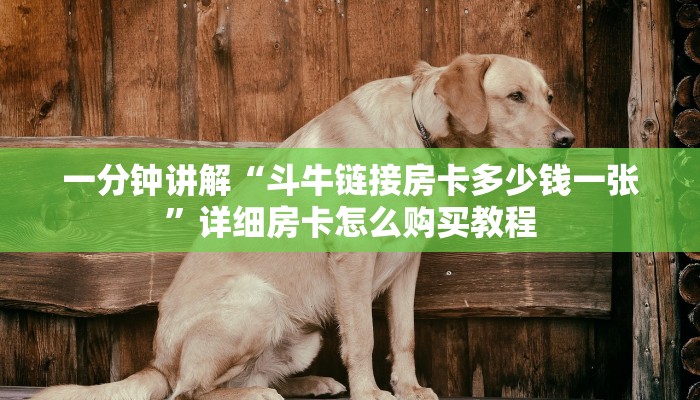 一分钟讲解“斗牛链接房卡多少钱一张”详细房卡怎么购买教程