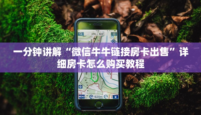 一分钟讲解“微信牛牛链接房卡出售”详细房卡怎么购买教程 一分钟讲解“微信牛牛链接房卡出售”详细房卡怎么购买教程