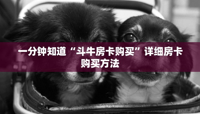 玩家必看“微信怎么创建炸金花房间房卡”获取房卡购买教程