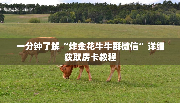 玩家攻略“皇豪互众房卡大厅”获取房卡方式方法