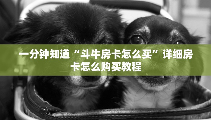 一分钟知道“斗牛房卡怎么买”详细房卡怎么购买教程
