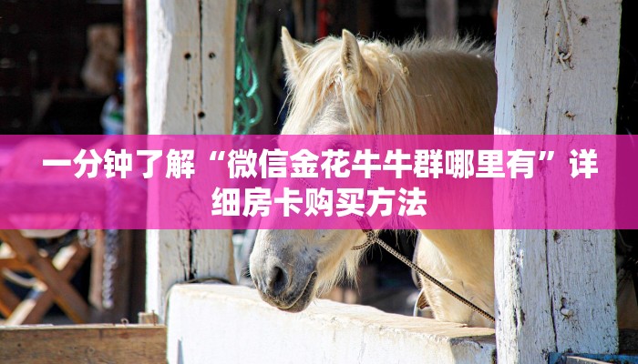 一分钟了解“微信金花牛牛群哪里有”详细房卡购买方法