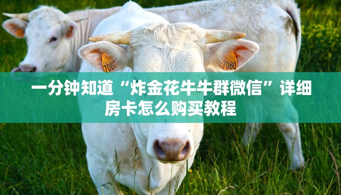 玩家攻略“皇豪互娱金花牛牛房卡”获取房卡方式方法