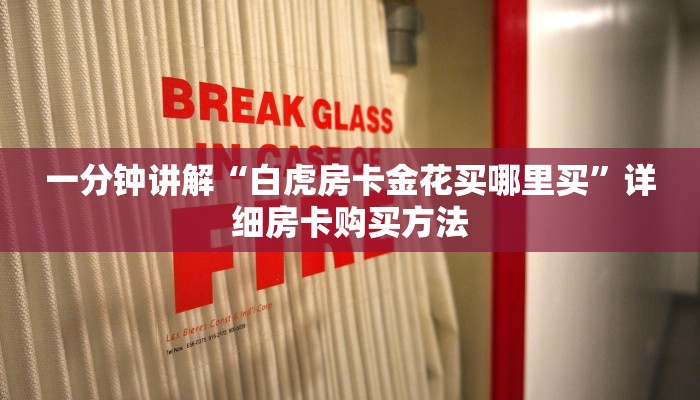 一分钟讲解“白虎房卡金花买哪里买”详细房卡购买方法