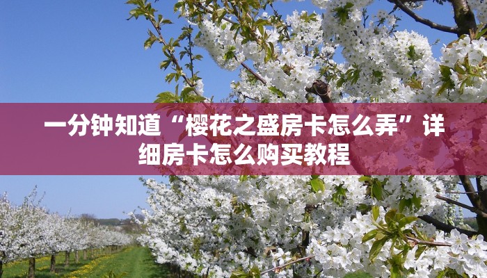 一分钟知道“樱花之盛房卡怎么弄”详细房卡怎么购买教程