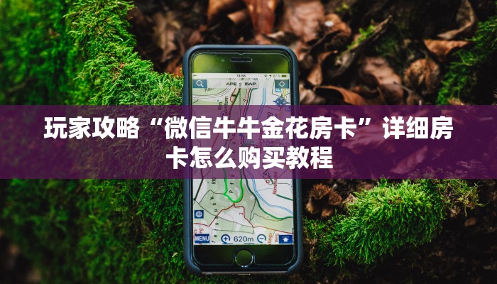 一分钟了解“拼三张房卡怎么买”详细房卡怎么购买方法 一分钟了解“拼三张房卡怎么买”详细房卡怎么购买方法