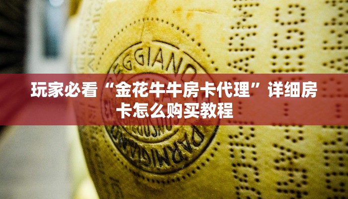 玩家必看“新老夫子房卡代理”教程房卡分享