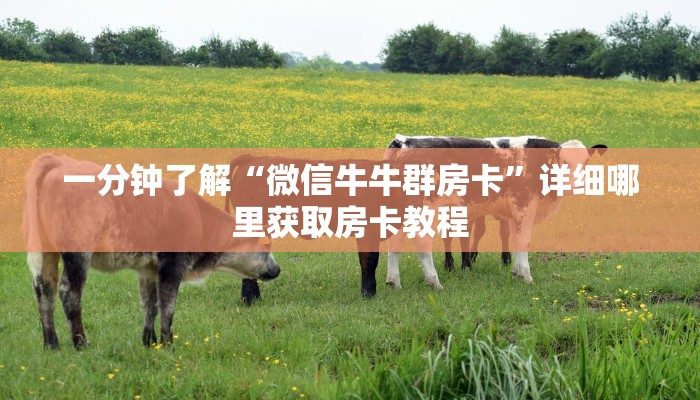 一分钟了解“微信牛牛群房卡”详细哪里获取房卡教程 一分钟了解“微信牛牛群房卡”详细哪里获取房卡教程