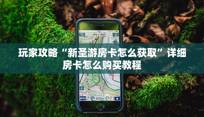 玩家攻略“新圣游房卡怎么获取”详细房卡怎么购买教程 玩家攻略“新圣游房卡怎么获取”详细房卡怎么购买教程