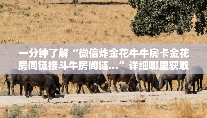 玩家攻略“微信群炸金花是真的吗怎么弄”获取房卡方式方法