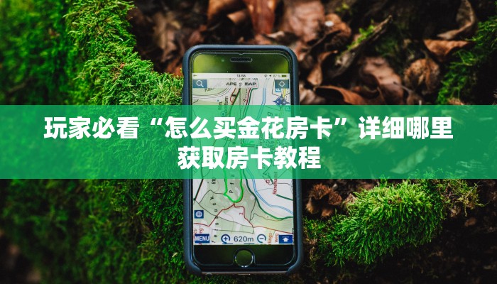 一分钟了解“新人皇大厅怎么买房卡”房卡购买教程方法