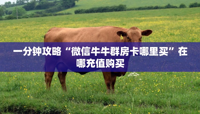 一分钟了解“微信斗牛链接房卡哪里有”详细获取房卡方式