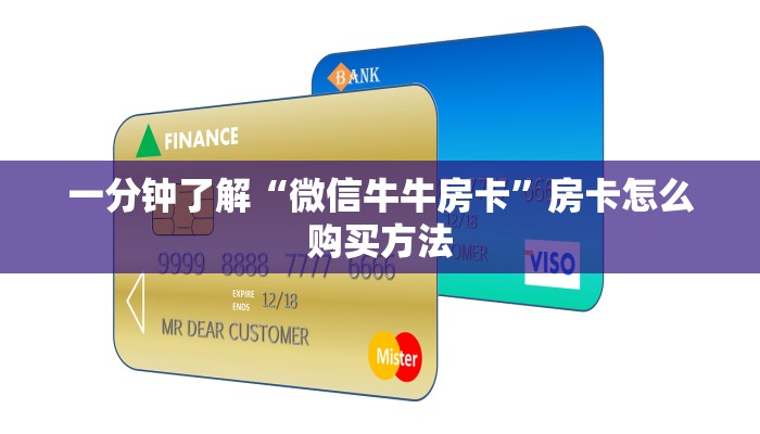 玩家攻略“新蛮王大厅金花房卡”房卡购买教程方法