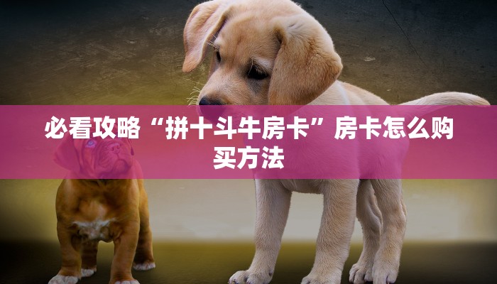 必看攻略“拼十斗牛房卡”房卡怎么购买方法 必看攻略“拼十斗牛房卡”房卡怎么购买方法