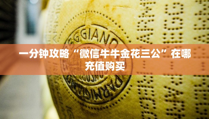 必看攻略“新九哥金花房卡”在哪充值购买