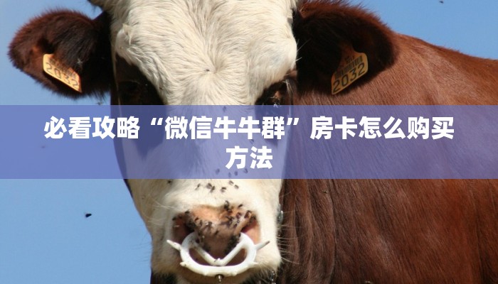一分钟知道“微信链接牛牛房间怎么建”教程房卡分享