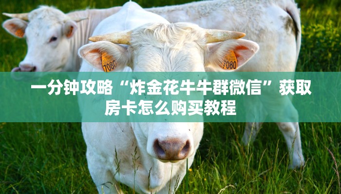必看攻略“微信怎么建金花房间房卡”在哪充值购买