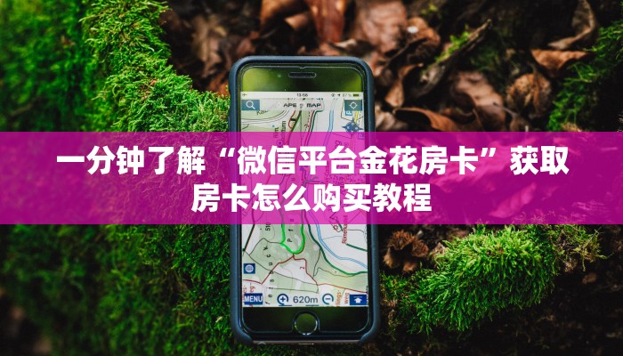 玩家必看“微信群炸金花房卡怎么购买”房卡哪里可以获取 玩家必看“微信群炸金花房卡怎么购买”房卡哪里可以获取