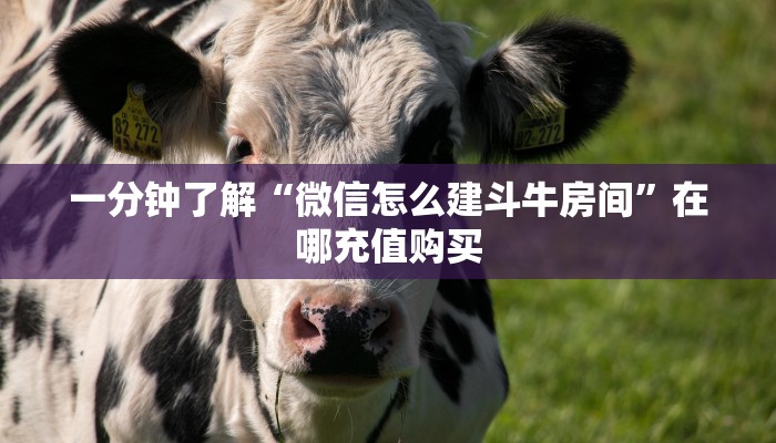一分钟了解“微信怎么建斗牛房间”在哪充值购买