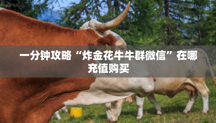 一分钟攻略“炸金花牛牛群微信”在哪充值购买