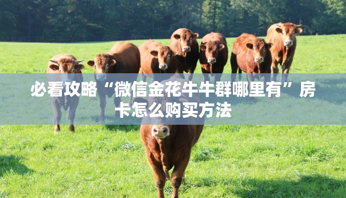 玩家攻略“神牛房卡总代理”房卡购买教程方法