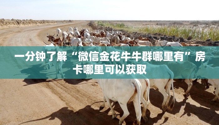 一分钟了解“微信金花牛牛群哪里有”房卡哪里可以获取