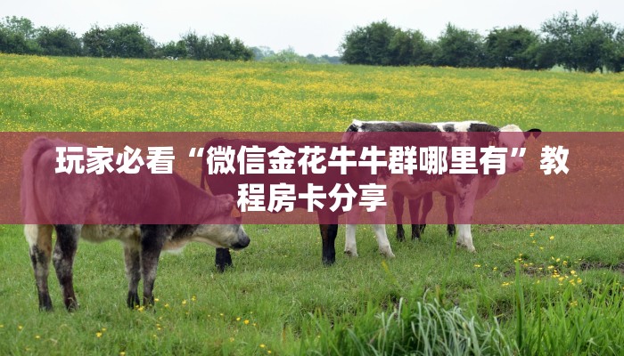 玩家必看“微信金花牛牛群哪里有”教程房卡分享