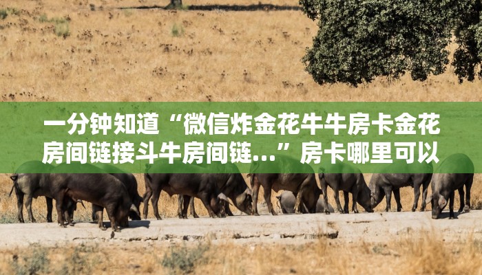 一分钟知道“微信炸金花牛牛房卡金花房间链接斗牛房间链…”房卡哪里可以获取