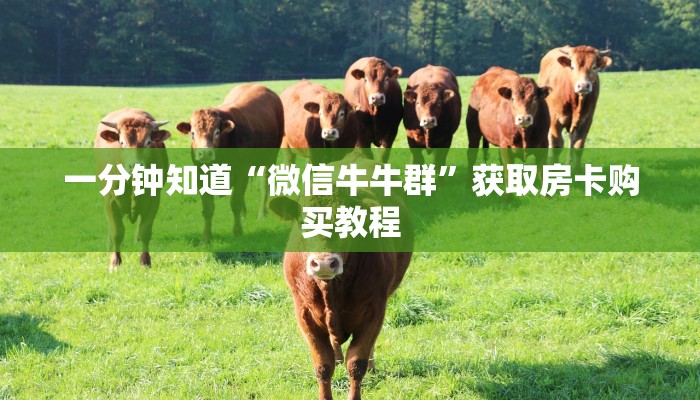 一分钟讲解“正版拼三张怎么买房卡”详细获取房卡方式
