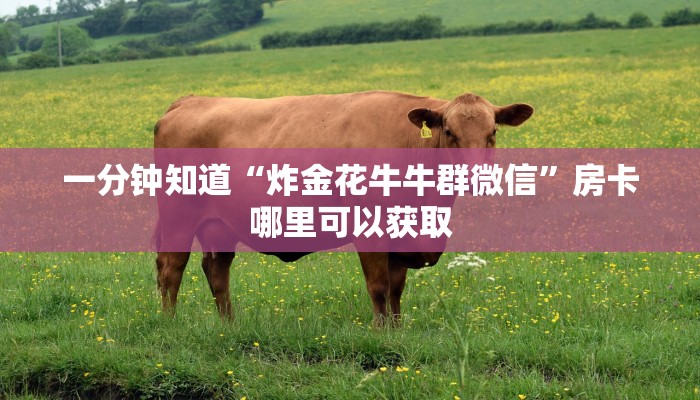 一分钟讲解“微信怎么建拼三张房间”获取房卡方式方法