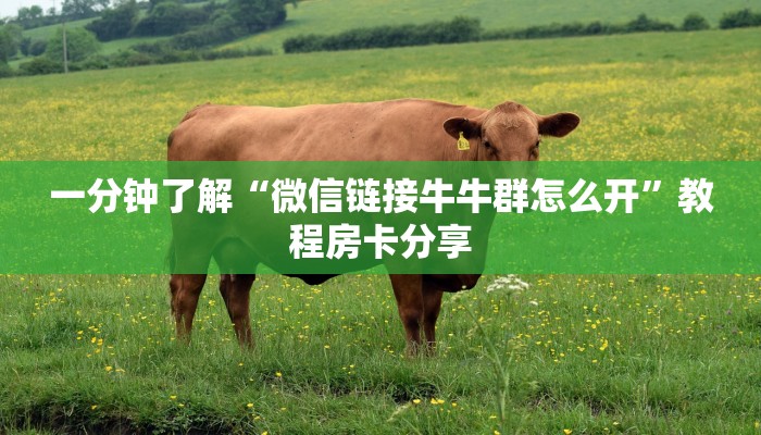 一分钟了解“微信链接牛牛群怎么开”教程房卡分享
