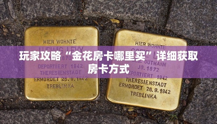 玩家攻略“微信群金花房卡在哪里弄”详细获取房卡方式