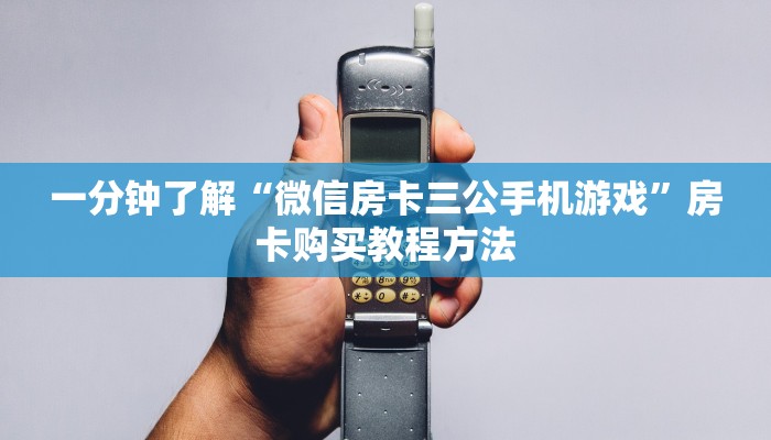 一分钟了解“微信房卡三公手机游戏”房卡购买教程方法