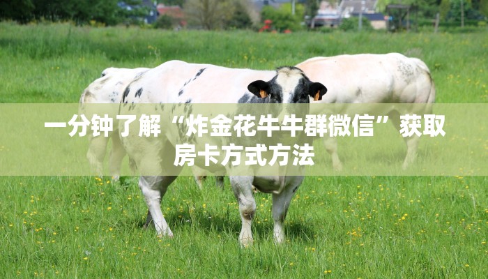 一分钟讲解“微信群炸金花链接房卡”房卡购买教程方法