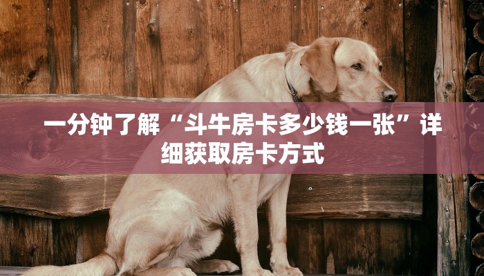 一分钟了解“斗牛房卡多少钱一张”详细获取房卡方式 一分钟了解“斗牛房卡多少钱一张”详细获取房卡方式