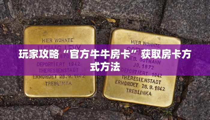 玩家攻略“微信群金花牛牛房间房卡”详细获取房卡方式