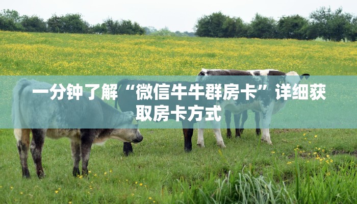 一分钟了解“微信牛牛群房卡”详细获取房卡方式