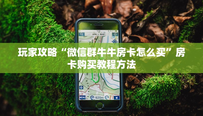 玩家攻略“微信群牛牛房卡怎么买”房卡购买教程方法