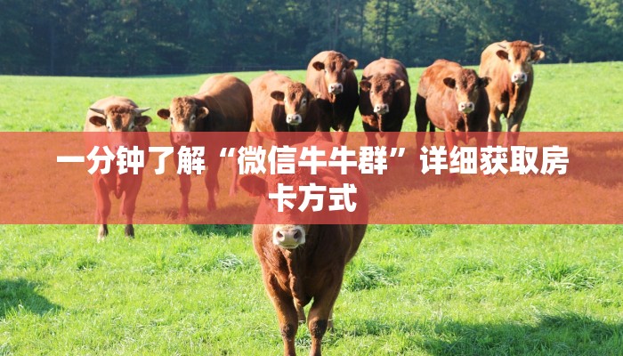 一分钟了解“微信牛牛群”详细获取房卡方式
