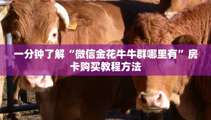 一分钟了解“微信金花牛牛群哪里有”房卡购买教程方法