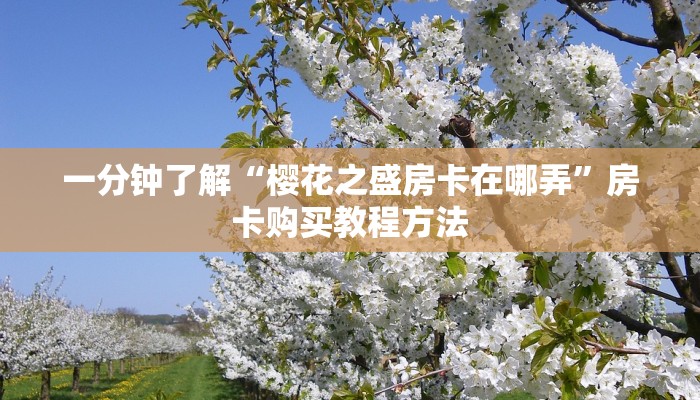 一分钟了解“樱花之盛房卡在哪弄”房卡购买教程方法