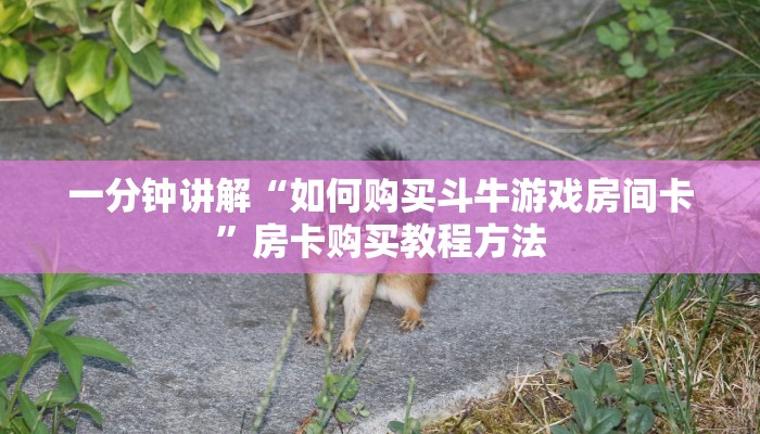 一分钟讲解“如何购买斗牛游戏房间卡”房卡购买教程方法 一分钟讲解“如何购买斗牛游戏房间卡”房卡购买教程方法