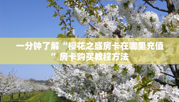一分钟了解“樱花之盛房卡在哪里充值”房卡购买教程方法