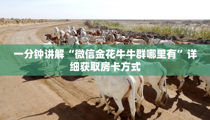 玩家攻略“新金龙大厅金花房卡”详细获取房卡方式