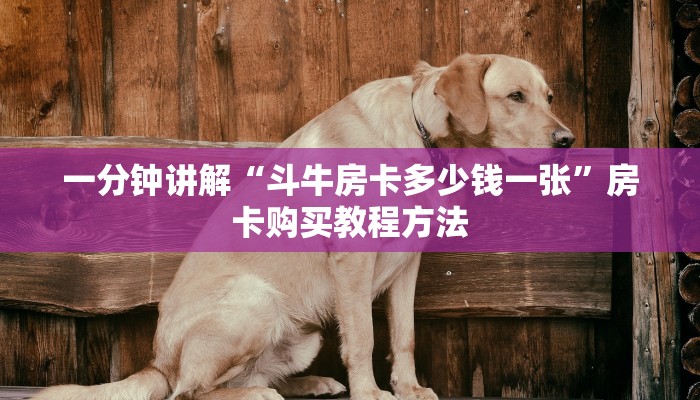 一分钟讲解“斗牛房卡多少钱一张”房卡购买教程方法