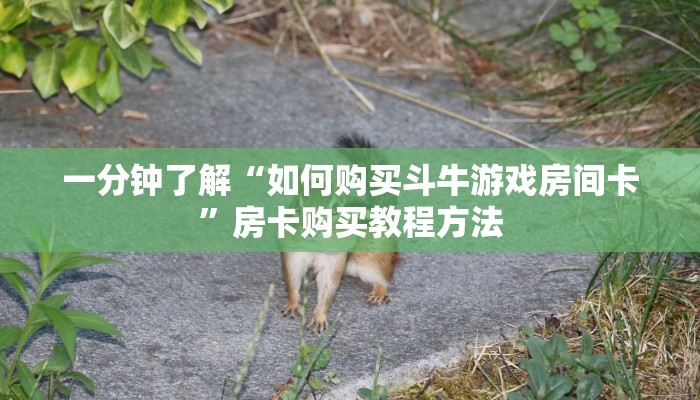 一分钟了解“如何购买斗牛游戏房间卡”房卡购买教程方法