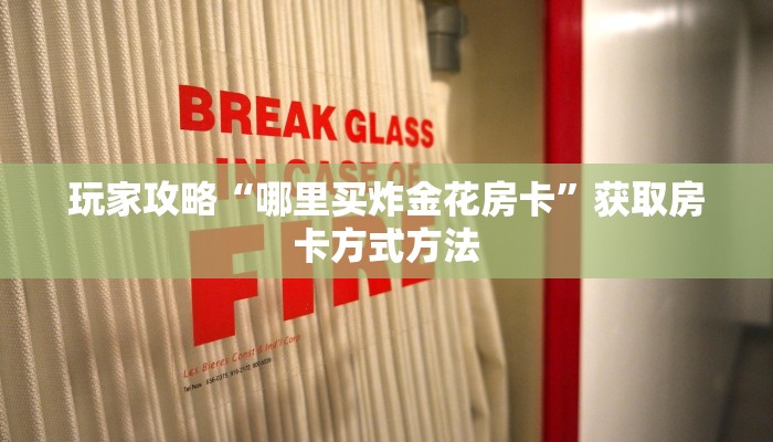 玩家攻略“哪里买炸金花房卡”获取房卡方式方法